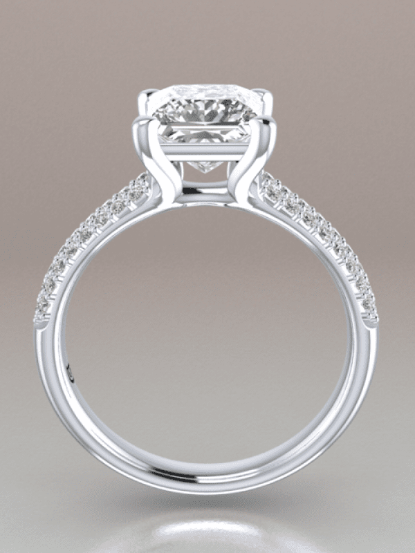 Princess Cut Micro Pave Engagement Ring
